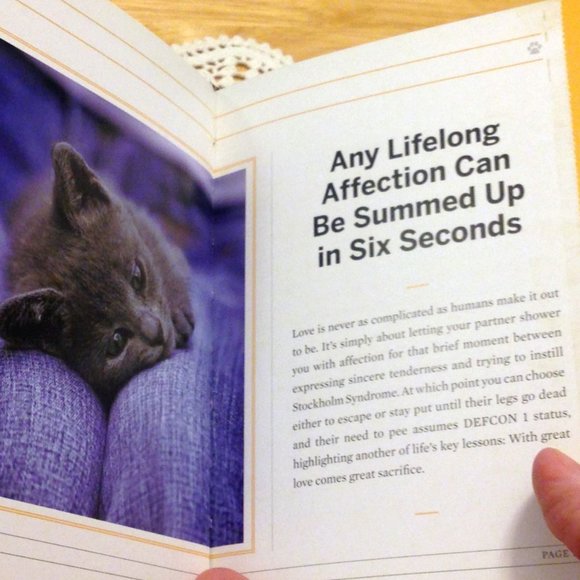 Cat Humor Book, cat advice - You need more sleep - Picture 5 of 8